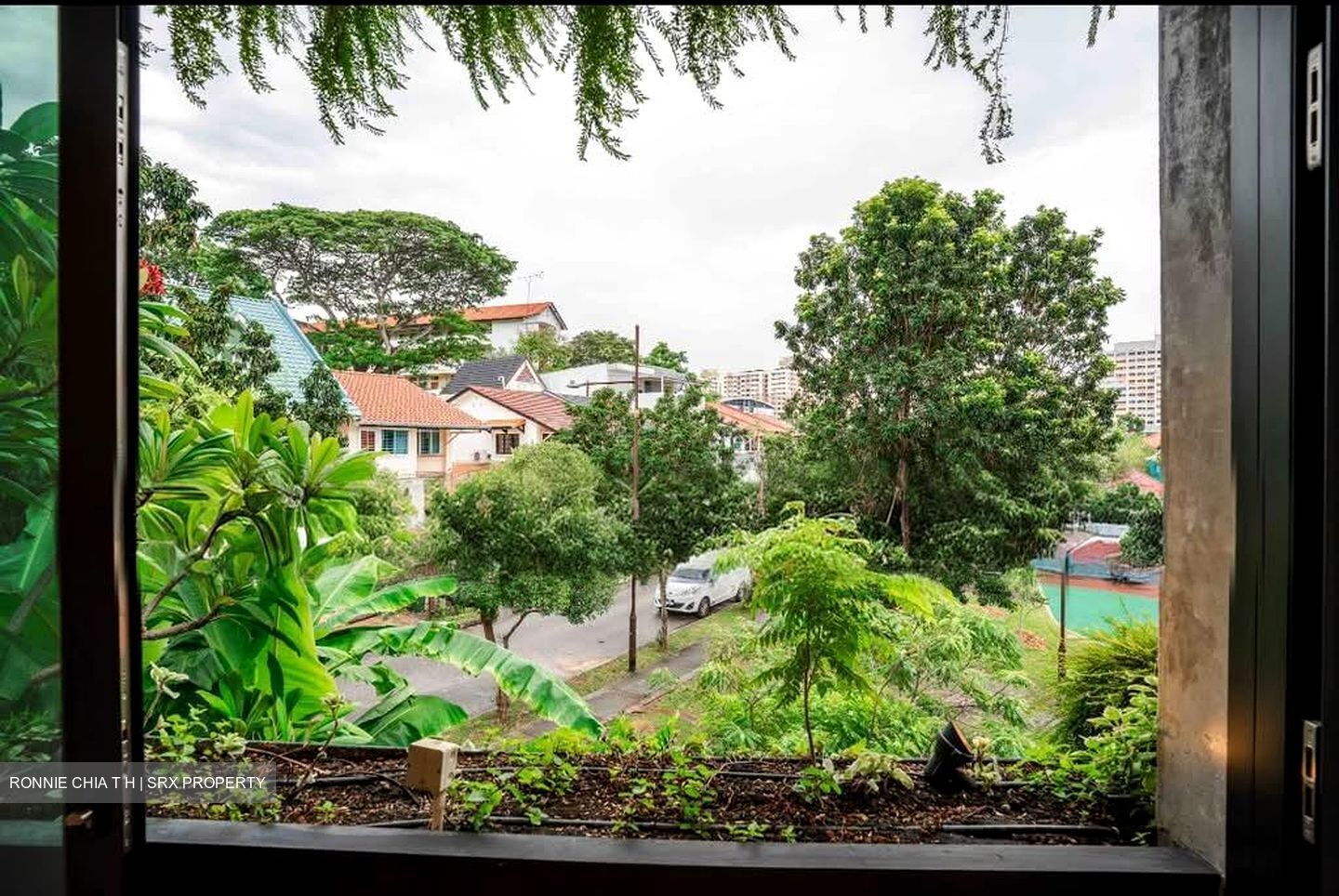 Opera Estate (D15), Terrace #535144321